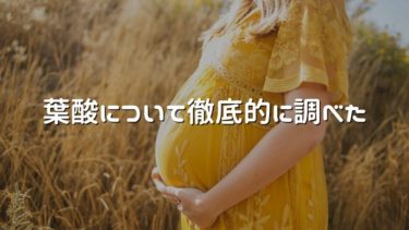 葉酸の効果 徹底的に調べて不妊から3人目を妊娠 葉酸サプリは必要 副作用は